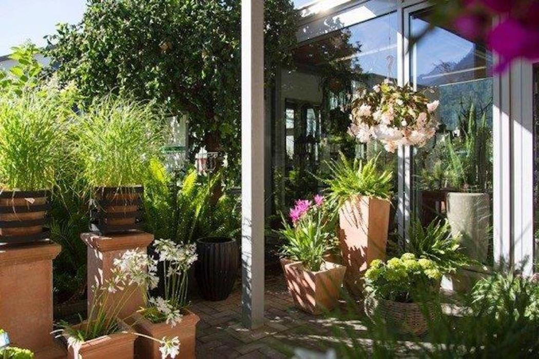 Schallert Blumen, Schillerstraße in Bludenz