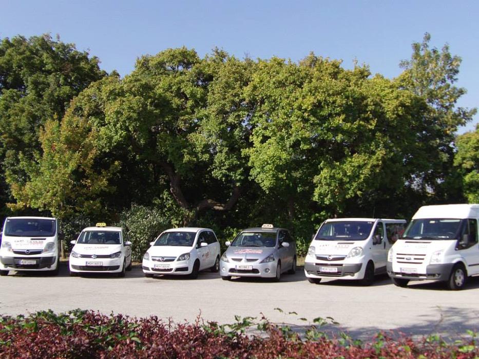 Taxi Mühlauer, Lerchengasse in Mödling