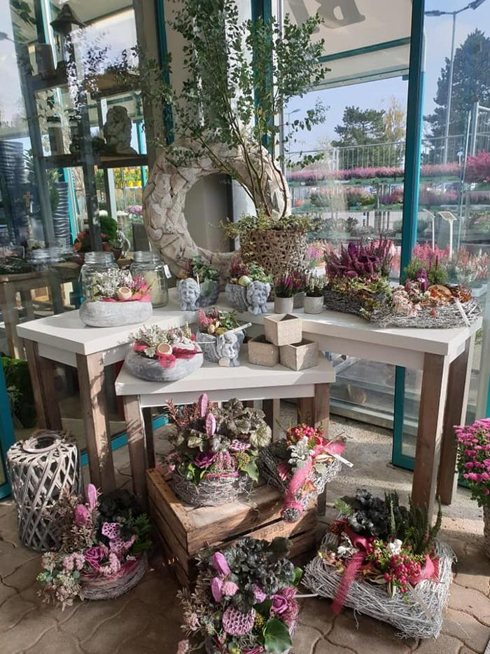 Blumen 2000, Wiener Neustädter Straße in Ebenfurth