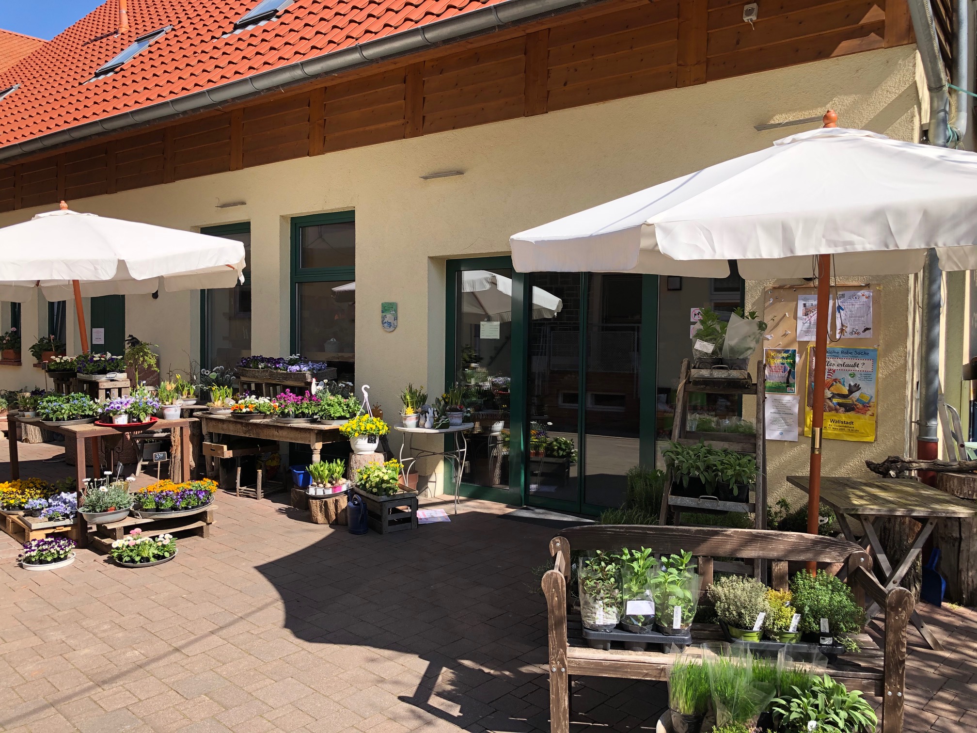Galerie-Thumbnail