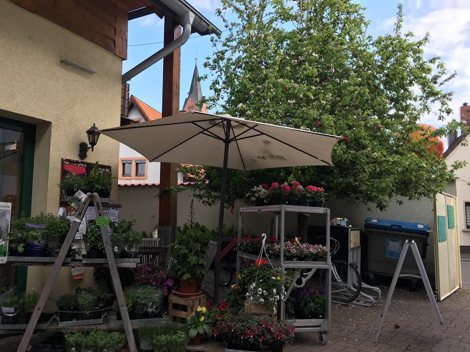 Galerie-Thumbnail