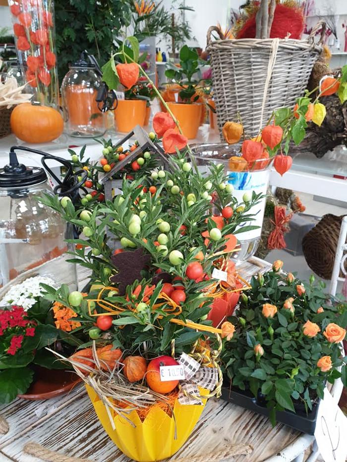 Blumen 2000, Rusterstraße in Eisenstadt