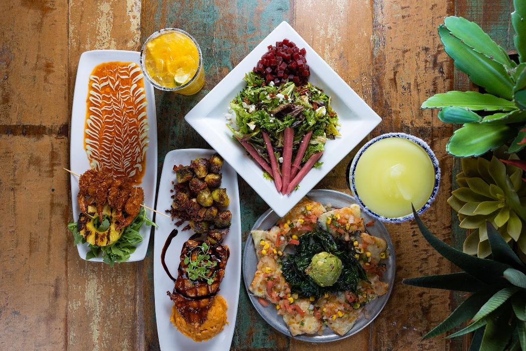 Blue Agave Grill - Fort Collins, CO