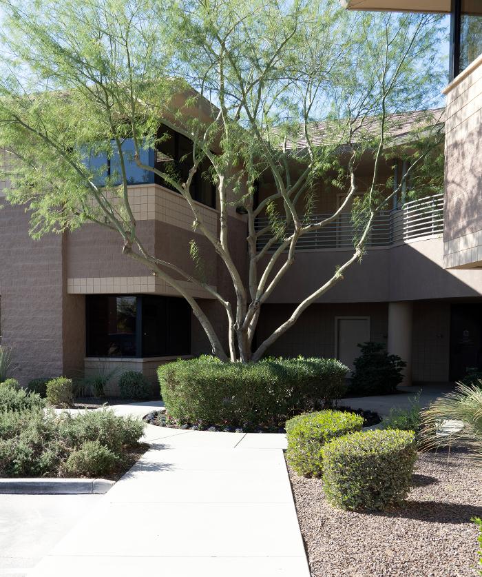 Family First Intervention - Arizona - Phoenix, AZ