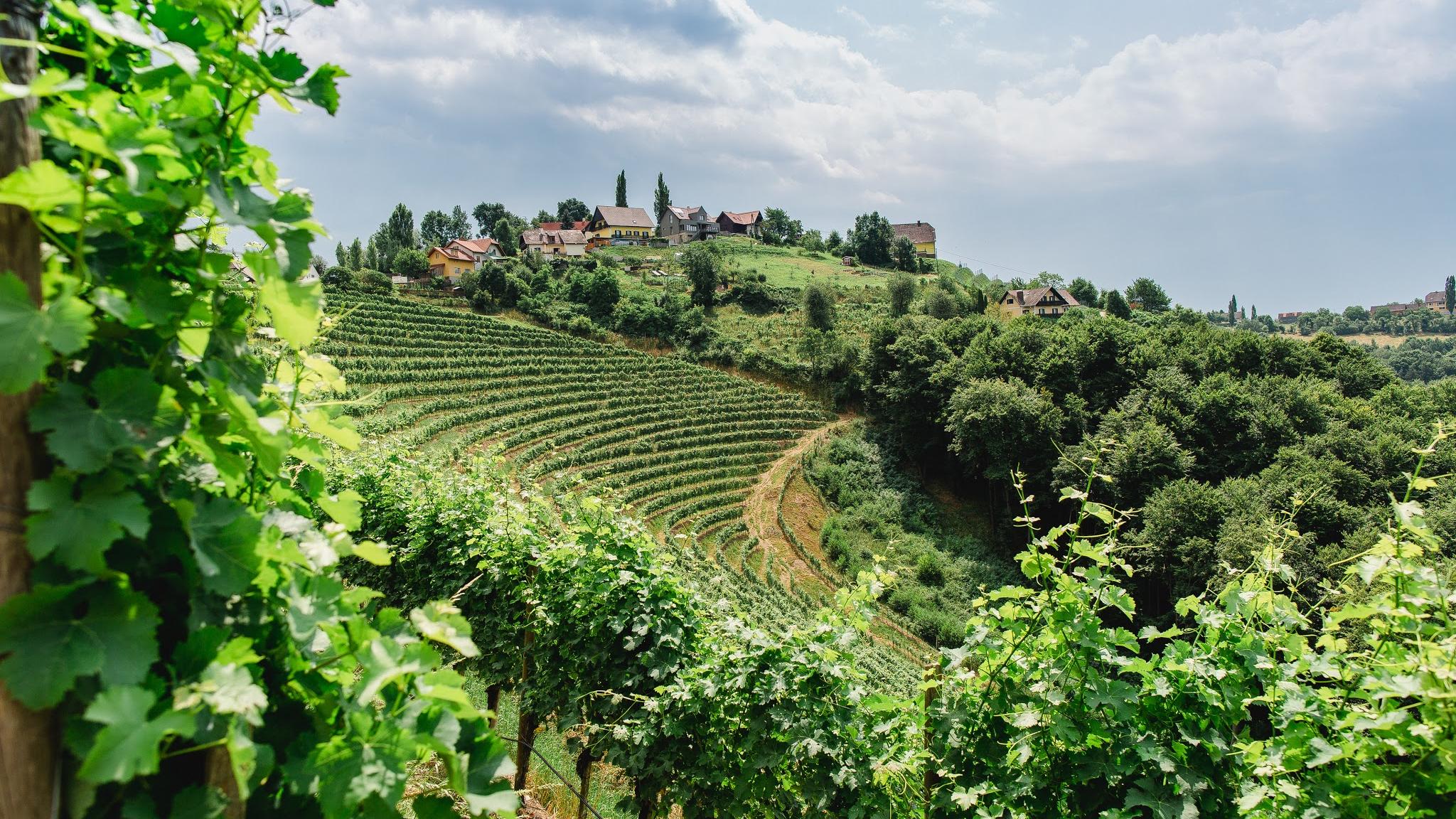 das kappel wein.gut.hotel, Steinriegel in Steinriegel