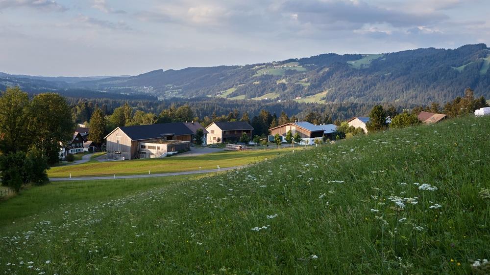 Martinshof, Risar in Buch