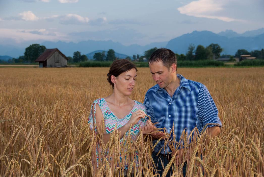 Martinshof, Risar in Buch