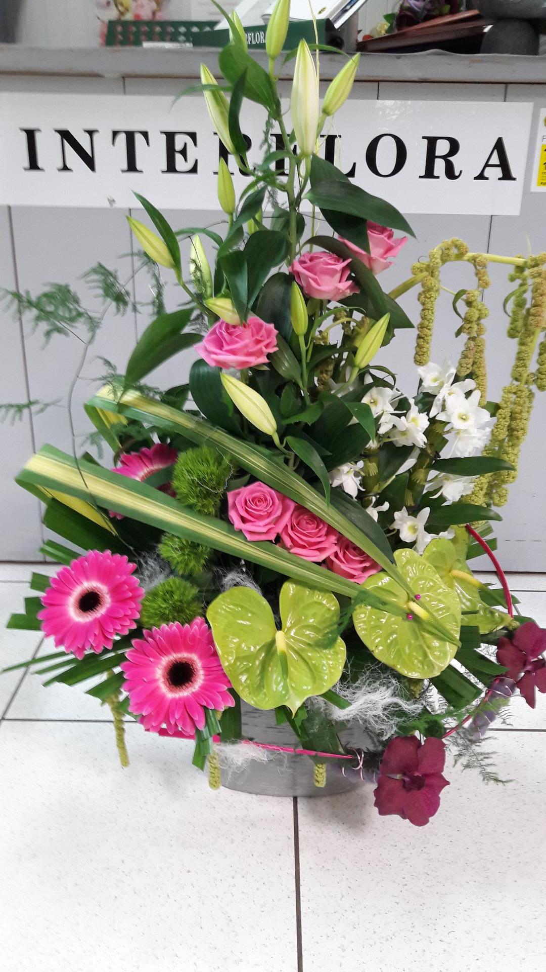 galerie image galerie image