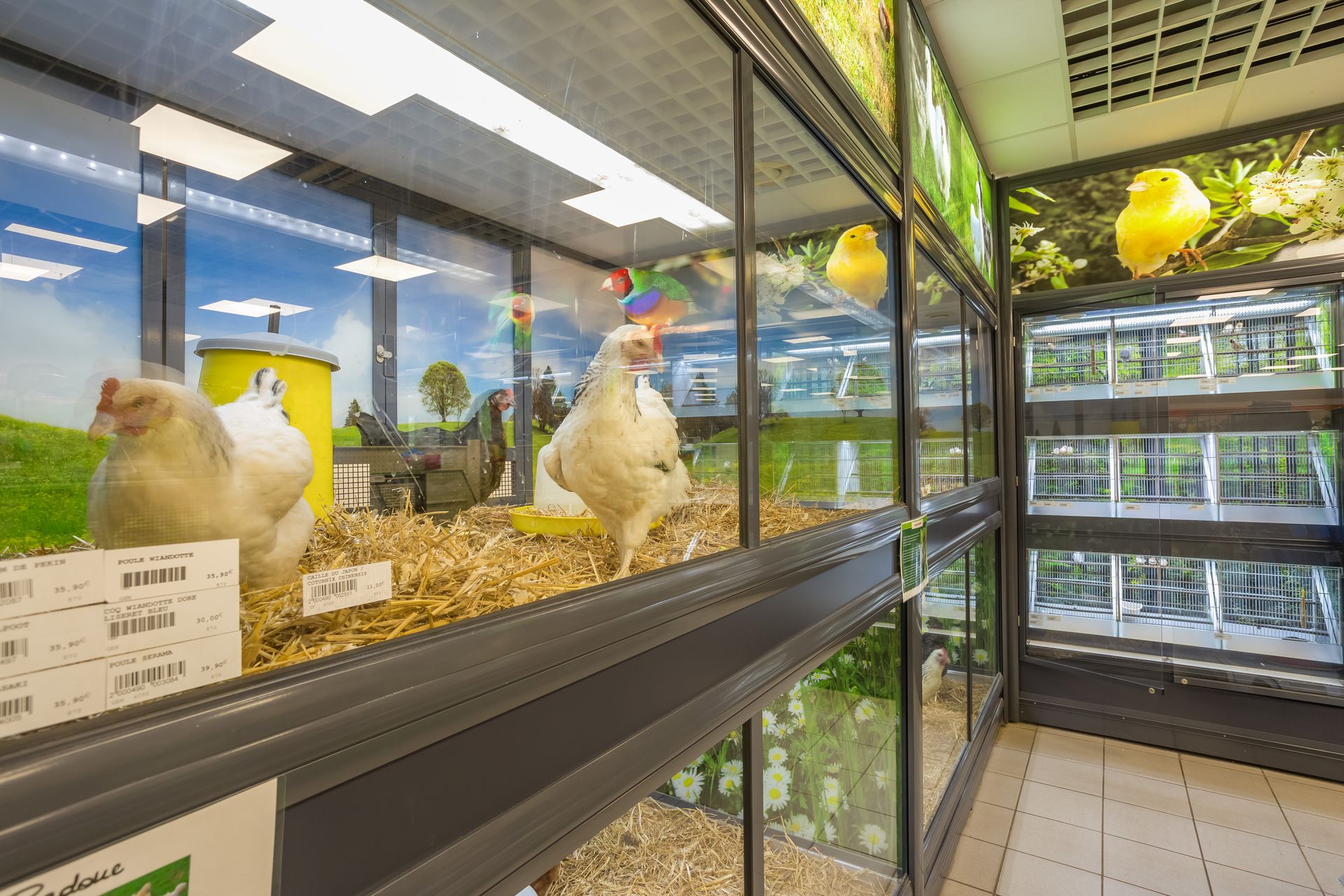 galerie image galerie image