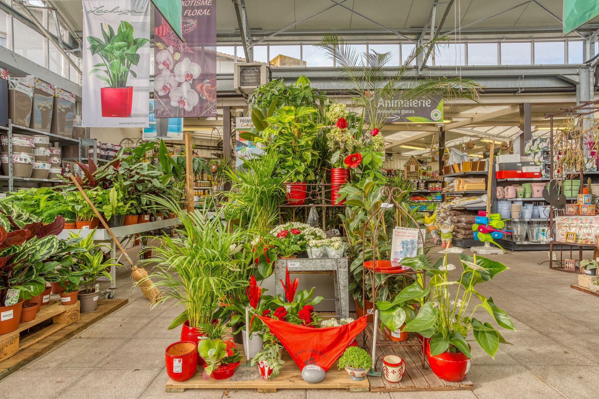 galerie image galerie image