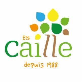 Etablissements Caille tondeuse à gazon (détail)