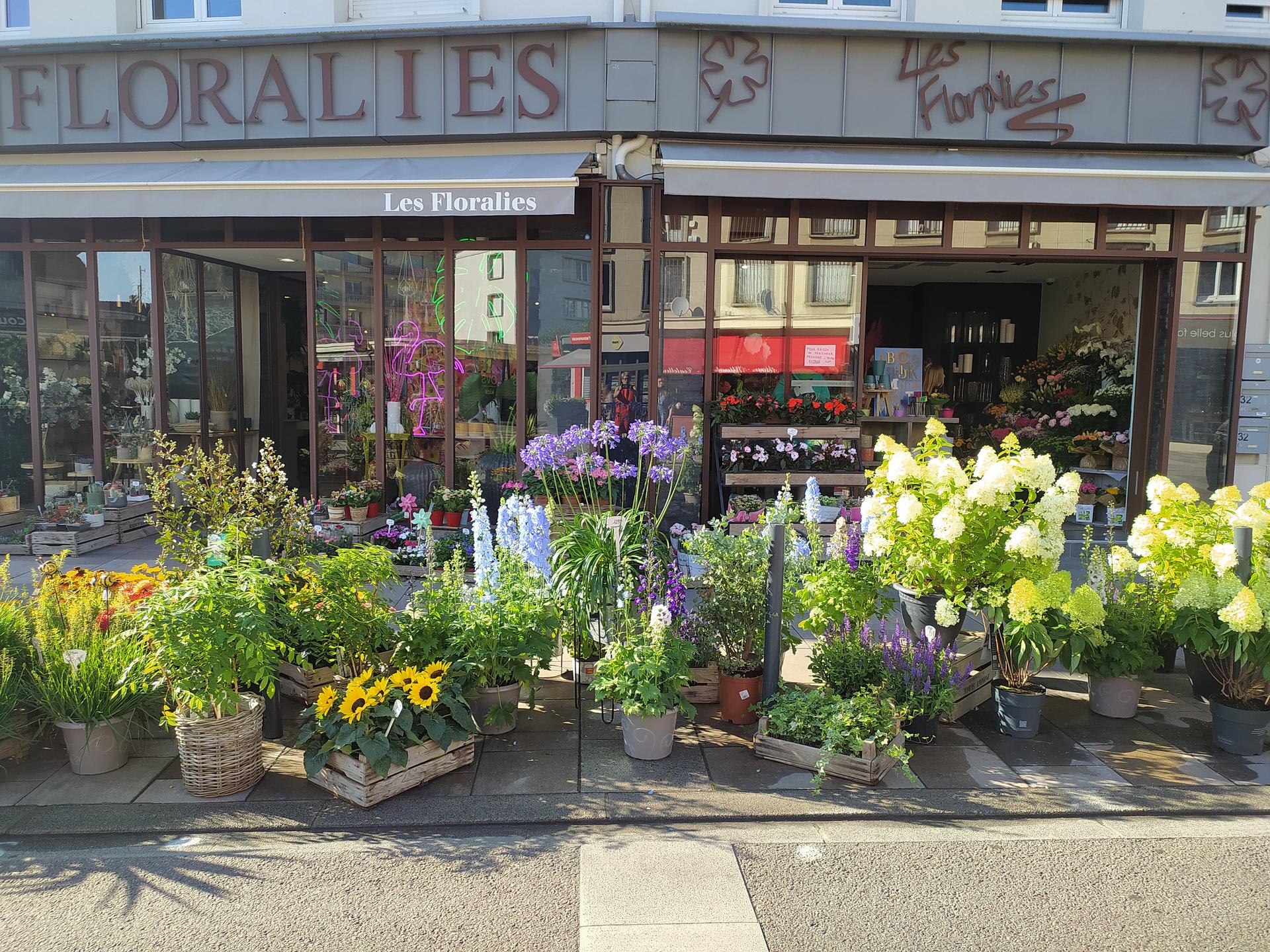 galerie image