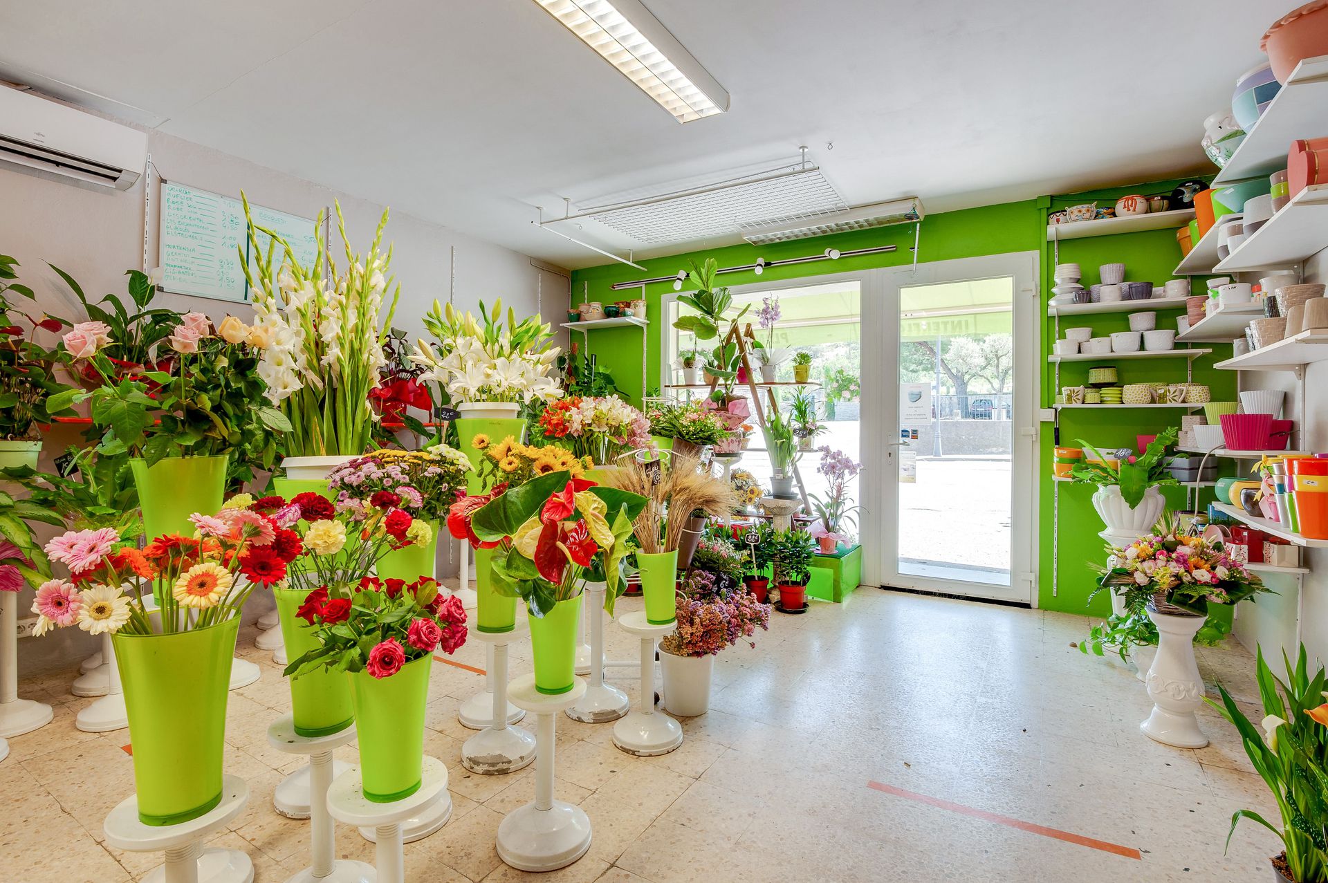 galerie image