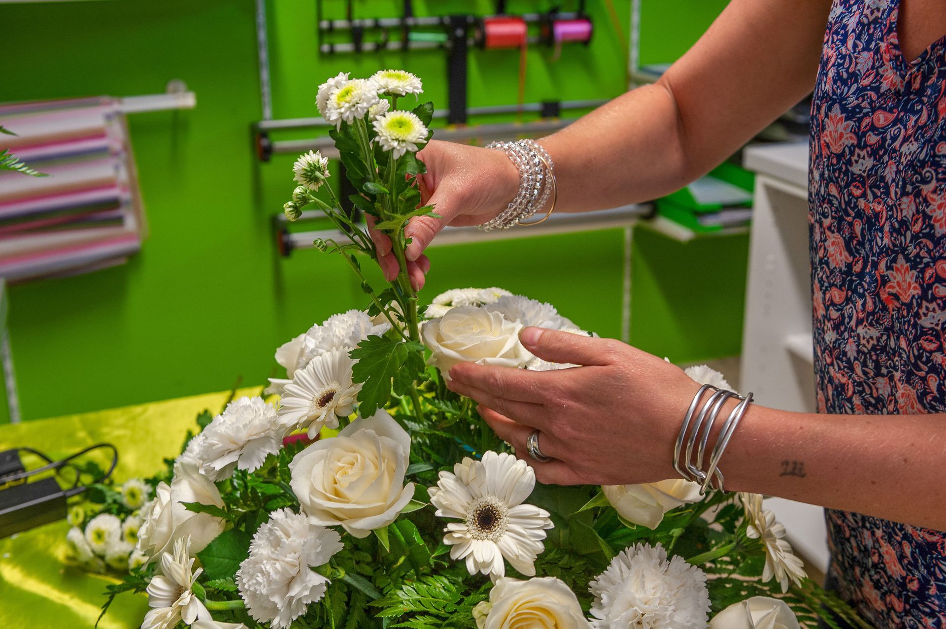 galerie image