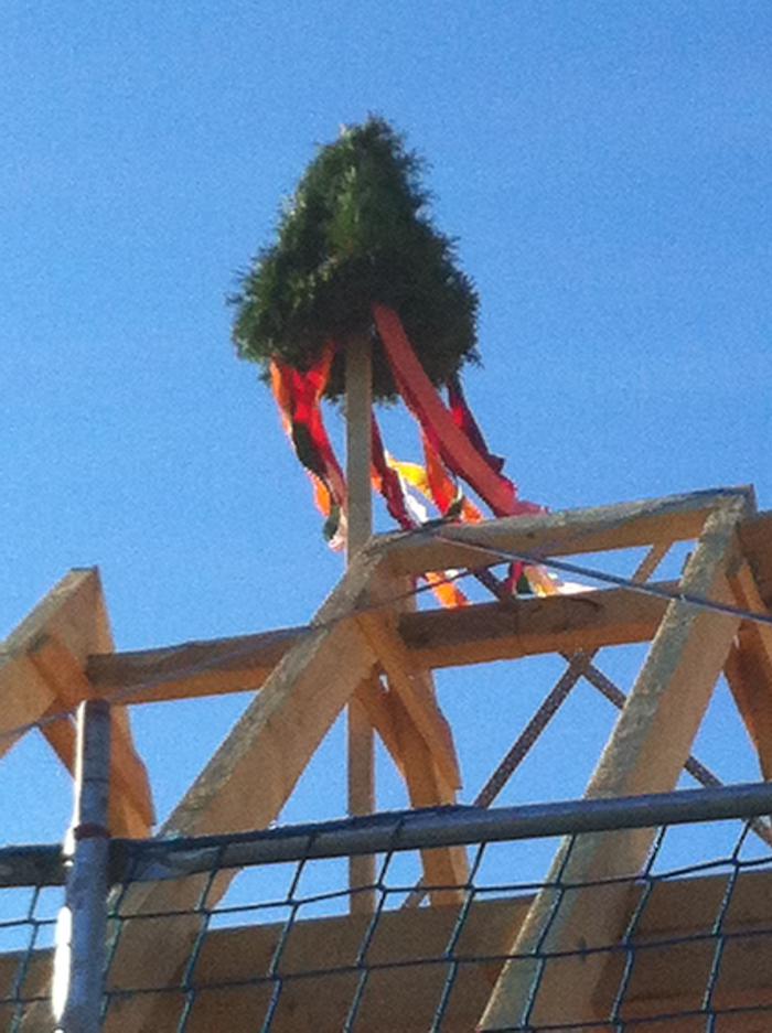 Dipl.-Ing. Claas Nolte, Bauingenieur, Jippensgorn in Burgwedel