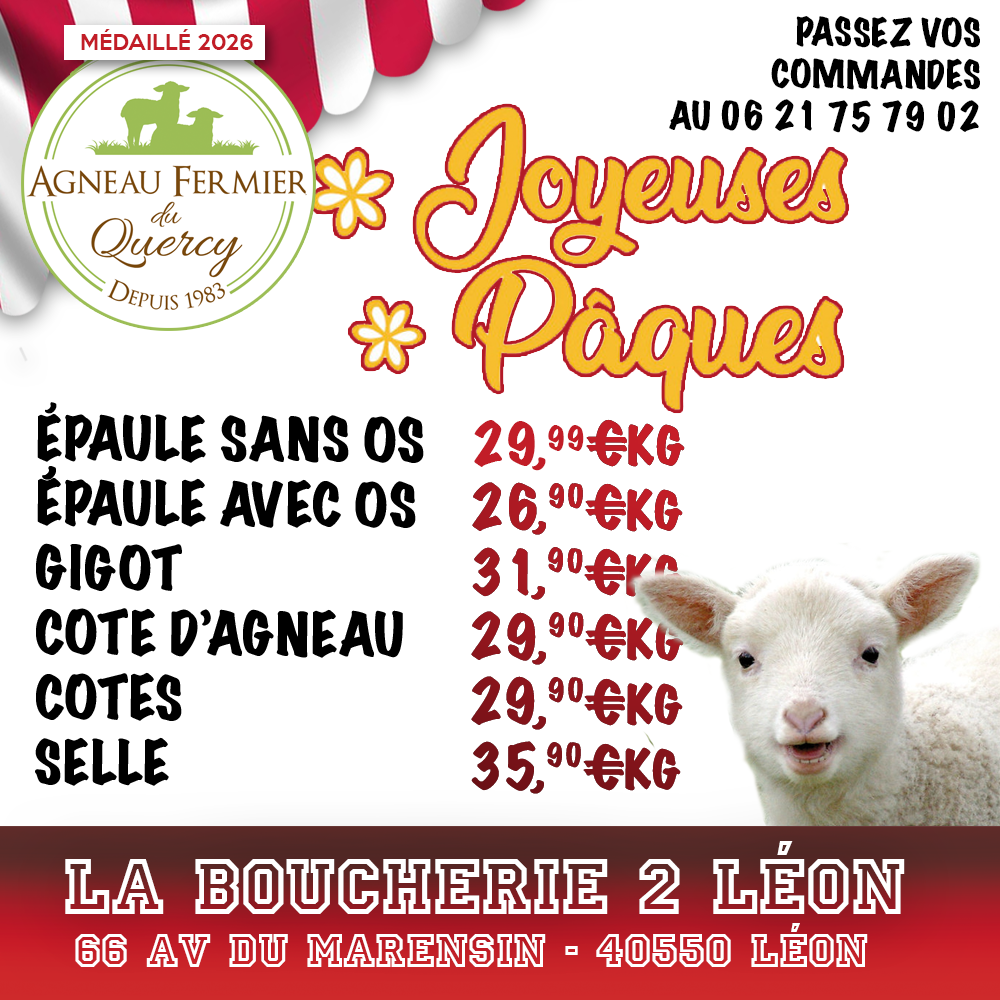galerie image
