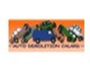 CALARD FRERES Expert