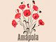 Amapola Fleuriste dessinateur (divers)