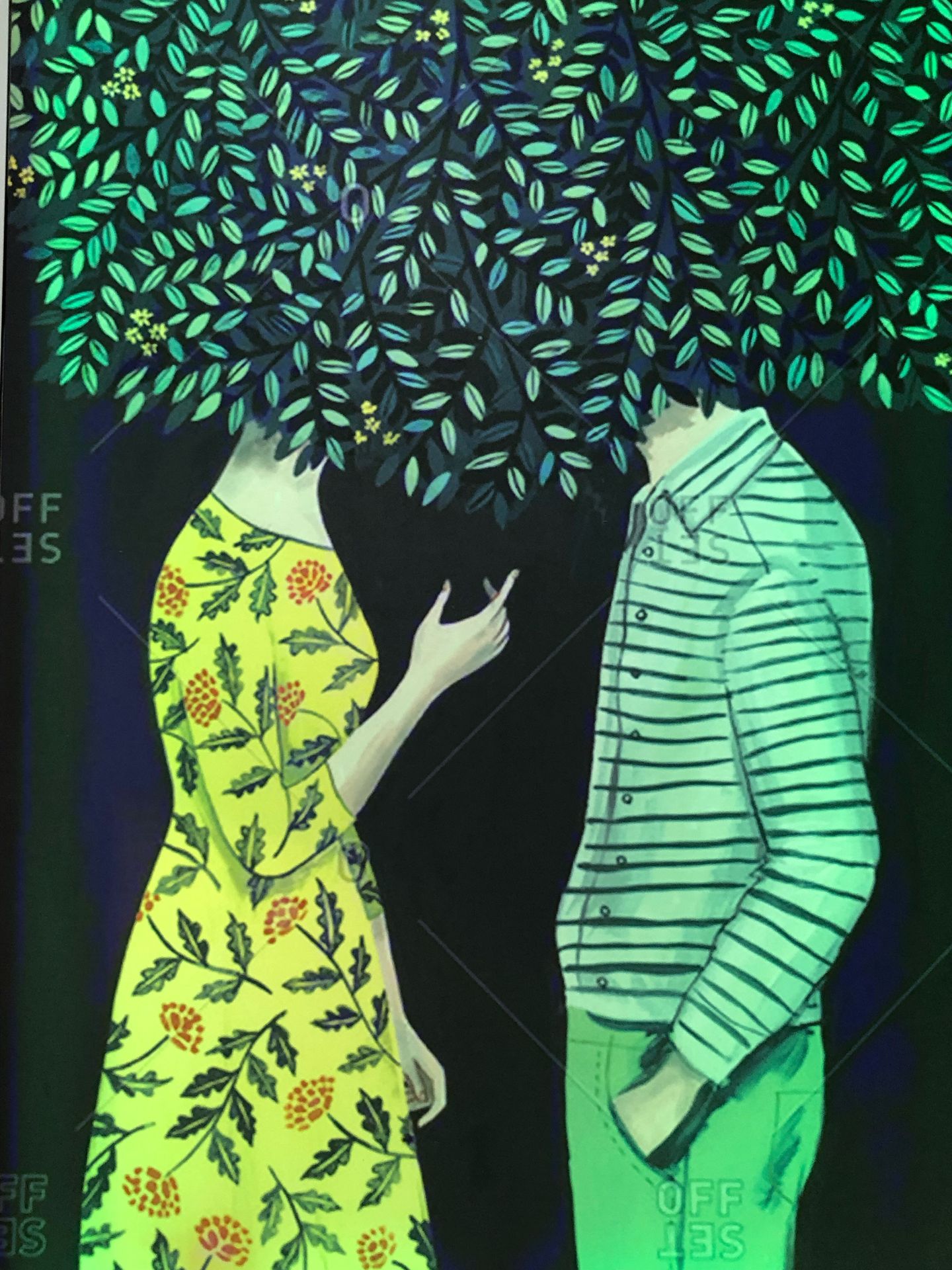galerie image