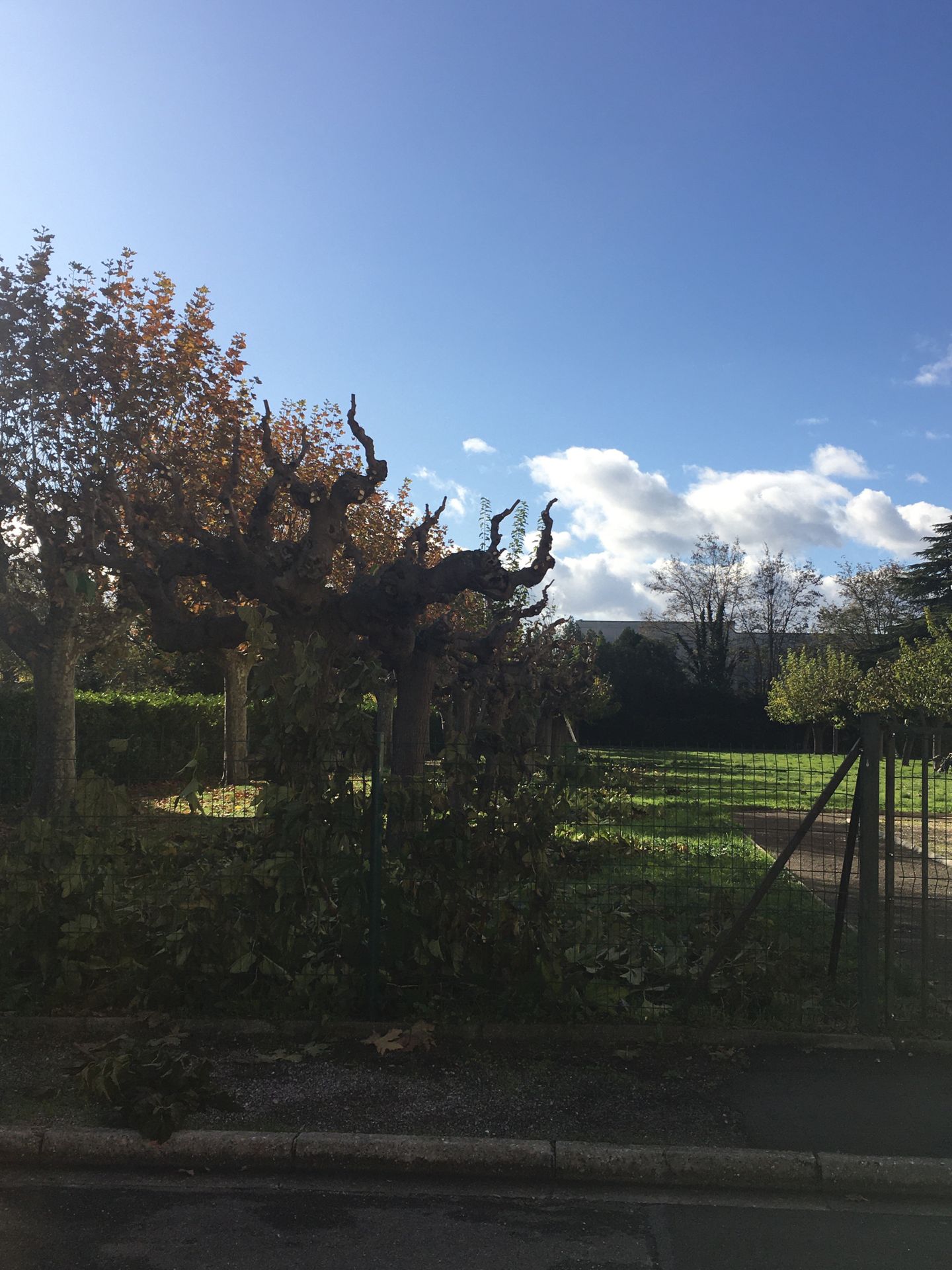 galerie image galerie image