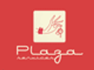 Plaza Services