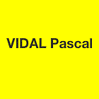 Vidal Pascal Expert