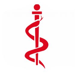 Kelbaba Adèle Infirmiére Etablissements de soins, services de la Santé