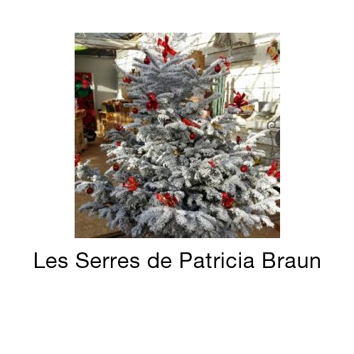 Serres de Patricia Braun EARL jardinerie, végétaux et article de jardin (détail)