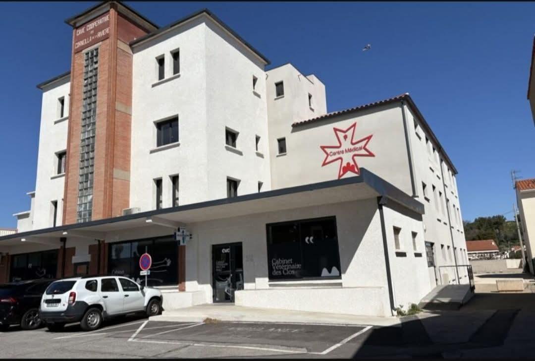 galerie image