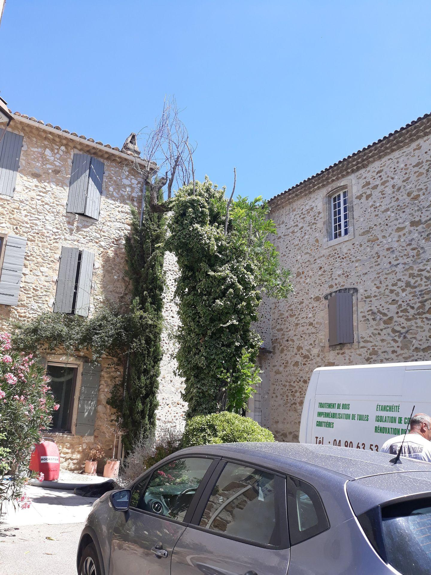 galerie image