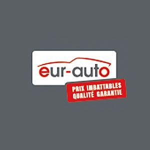 Eur-auto pièces et accessoires automobile, véhicule industriel (commerce)