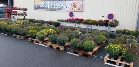 galerie image galerie image