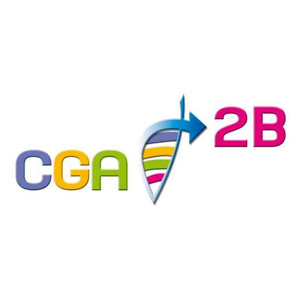 CGA2B Centre de Gestion Agréé de la Haute Corse Services divers aux entreprises