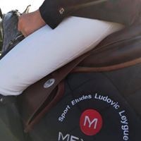 Les Ecuries Du Launay Ludovic Leygue établissement d'éducation spécialisée