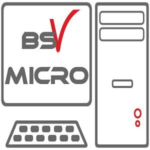 BSV Micro entrepôt et magasin général