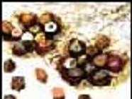 Grimmer Artisan Chocolatier