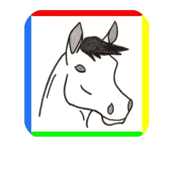 Poney Club Des Cinq Arpents établissement d'éducation spécialisée