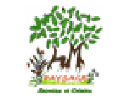LM Paysage paysagiste conseil