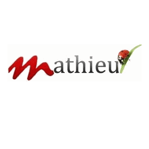 Bijouterie Mathieu Cannes République joaillier (détail)