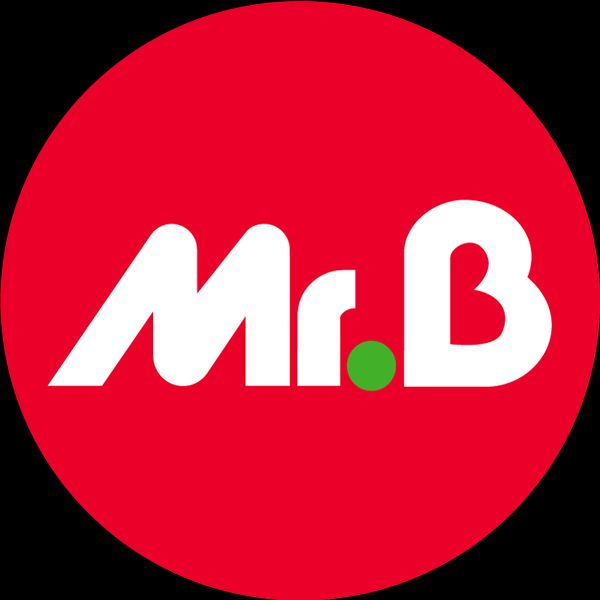 Mr.Bricolage Bruz Expert