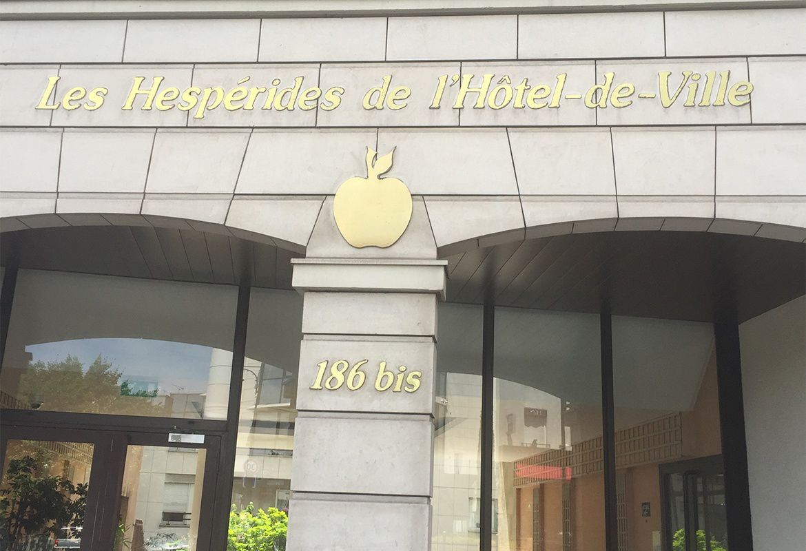 galerie image