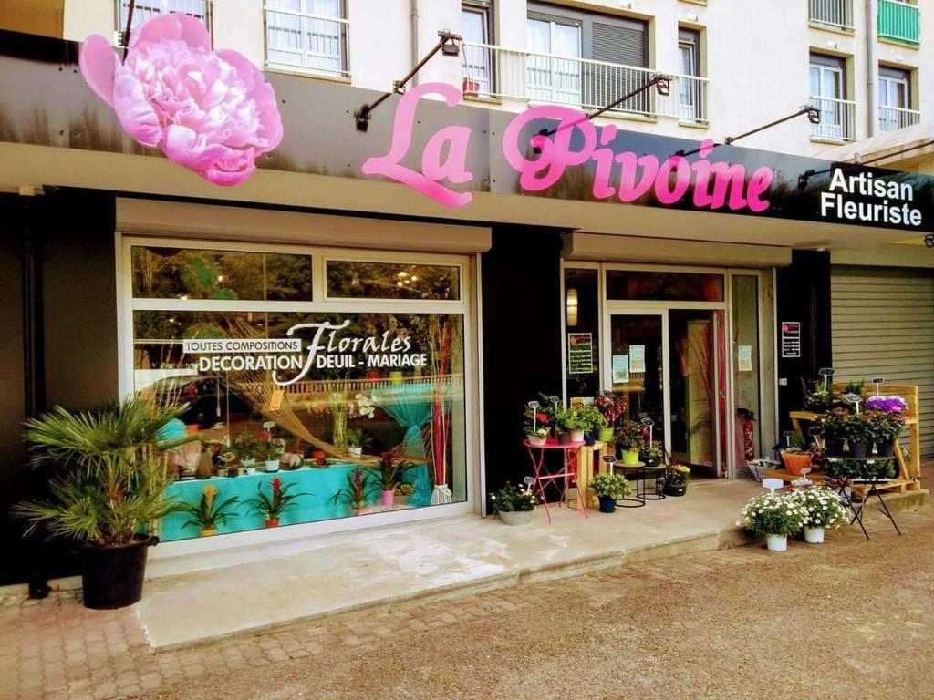 galerie image
