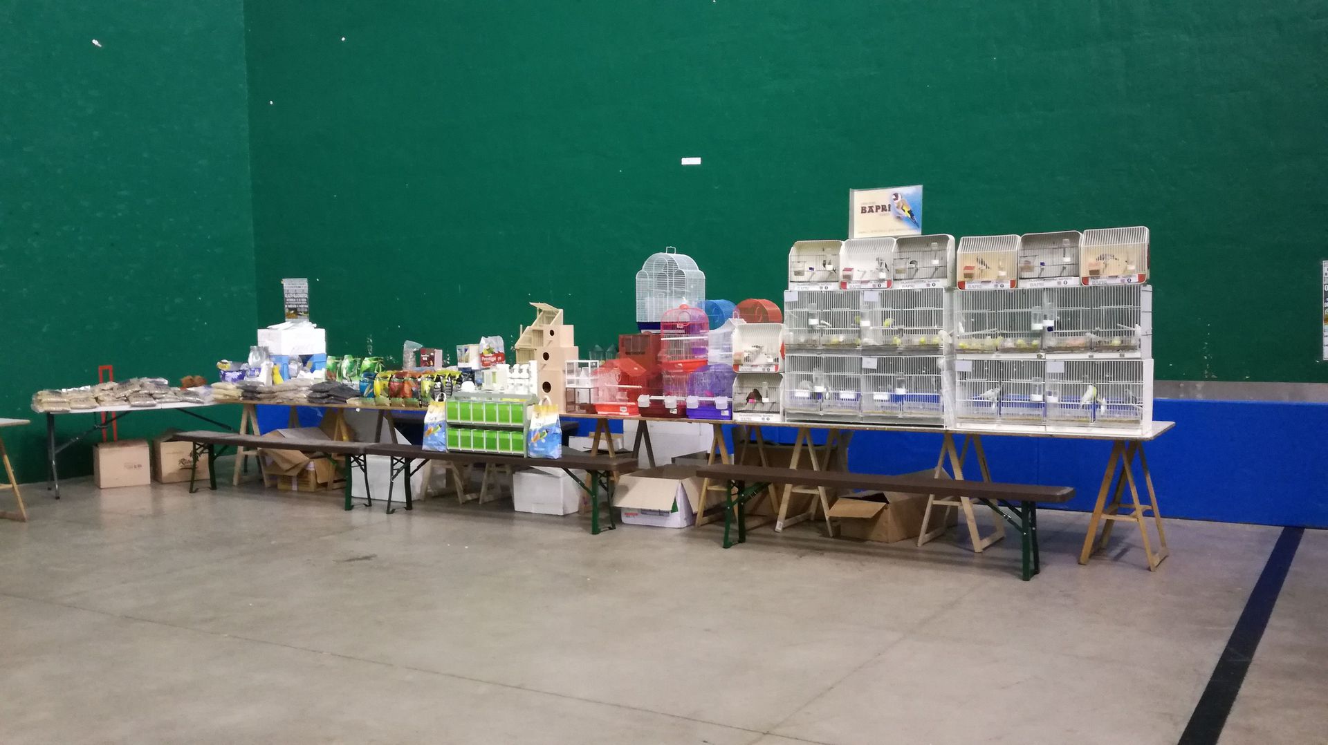 Galería en miniatura