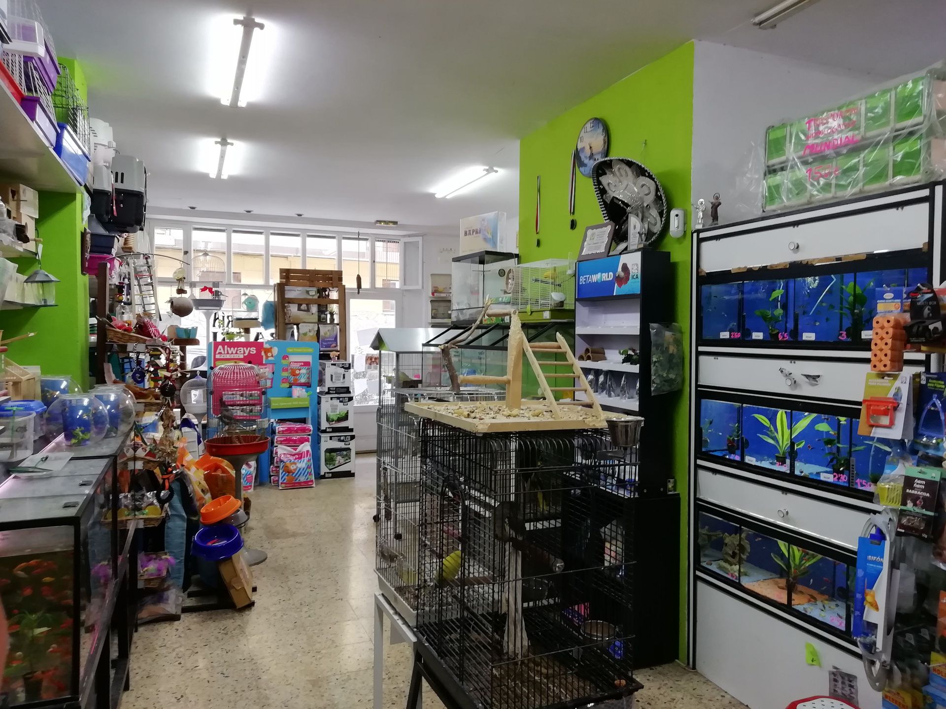 Galería en miniatura