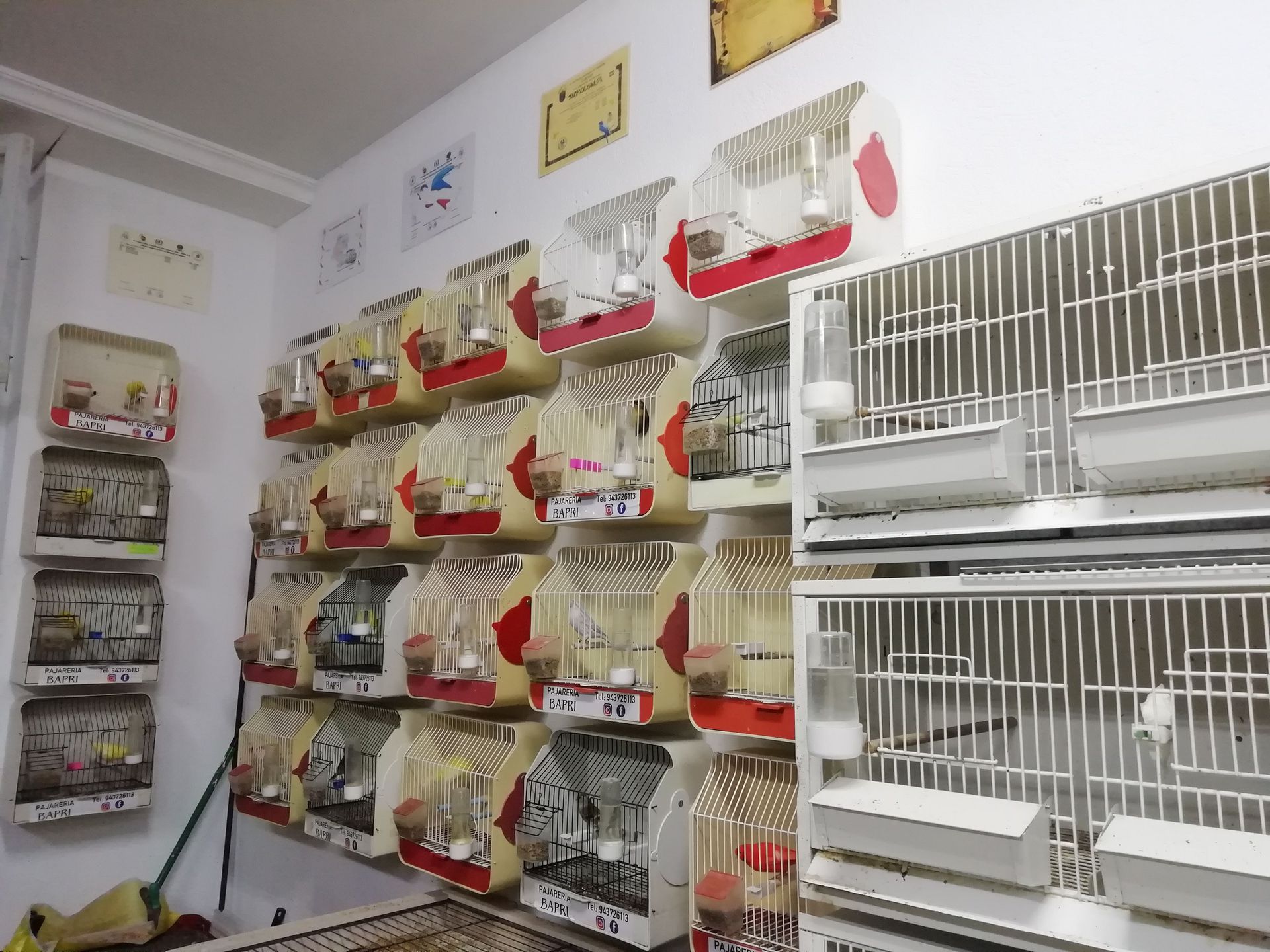 Galería en miniatura