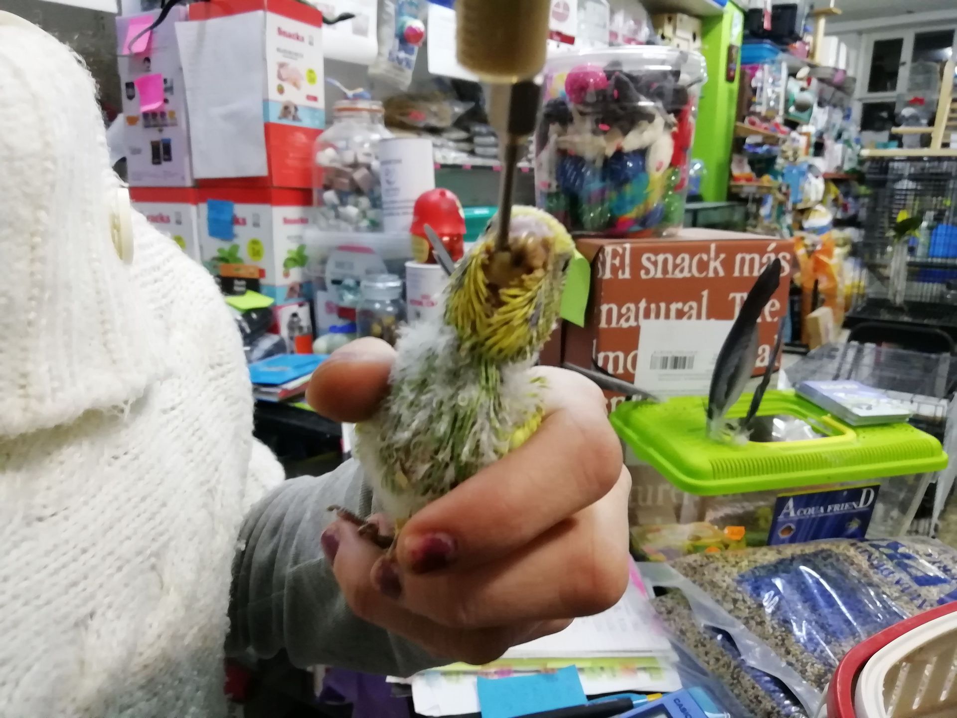 Galería en miniatura
