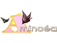 Amincéa Autres services