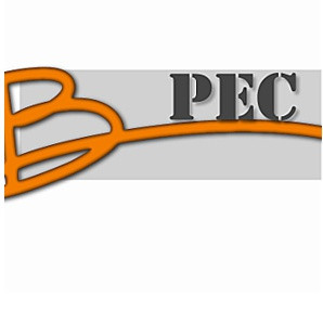 Bpec peintre (artiste)