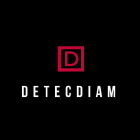 DETECDIAM Expert