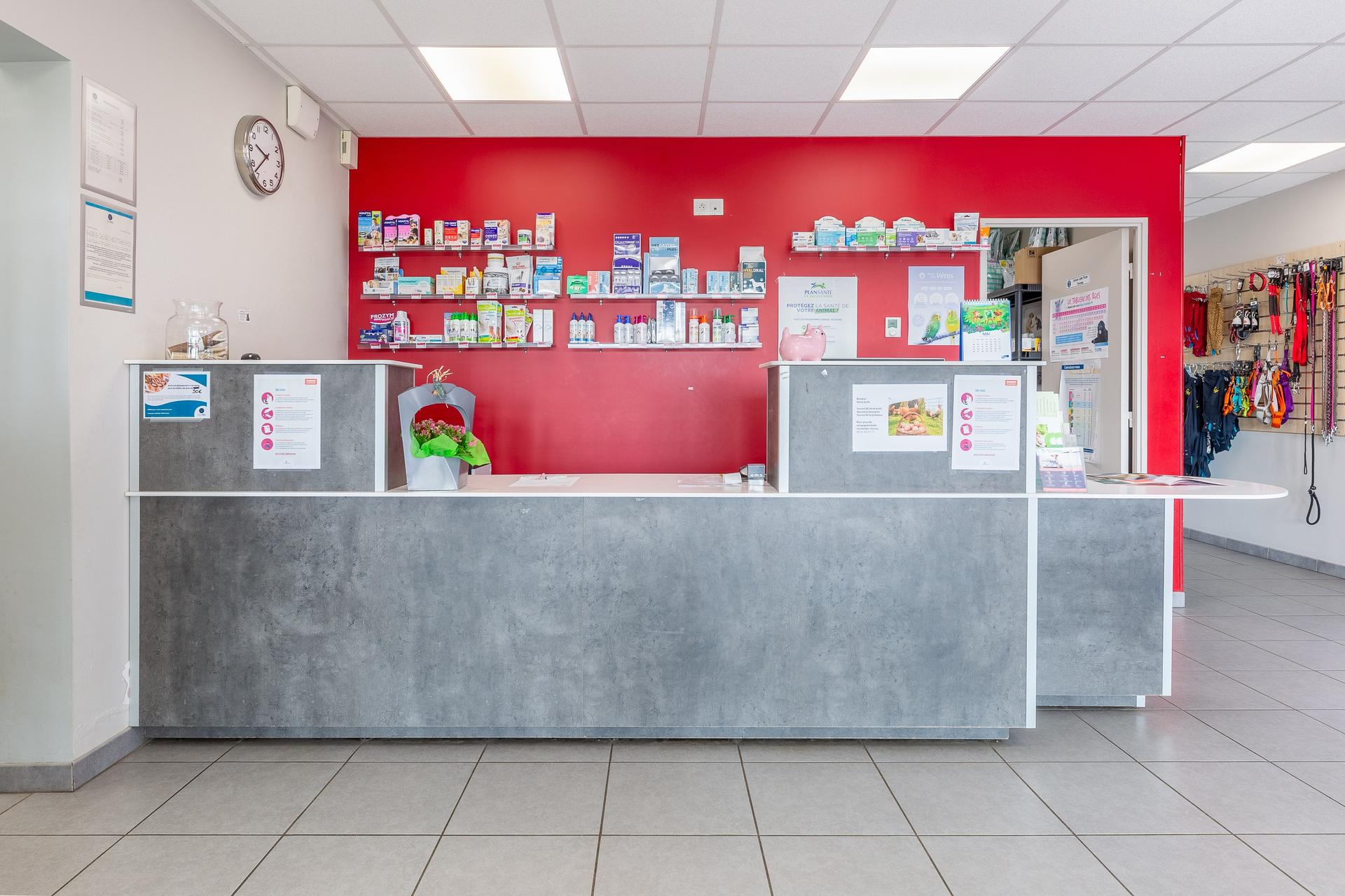 galerie image